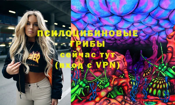 дживик Алексин