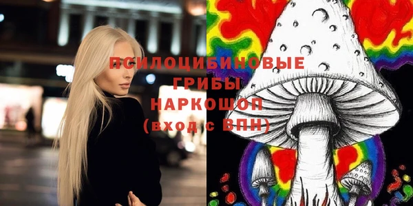 дживик Алексин