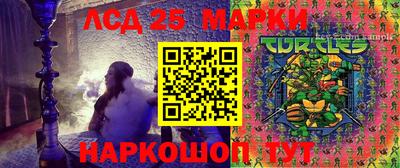 ПСИЛОЦИБИНОВЫЕ ГРИБЫ Краснодар