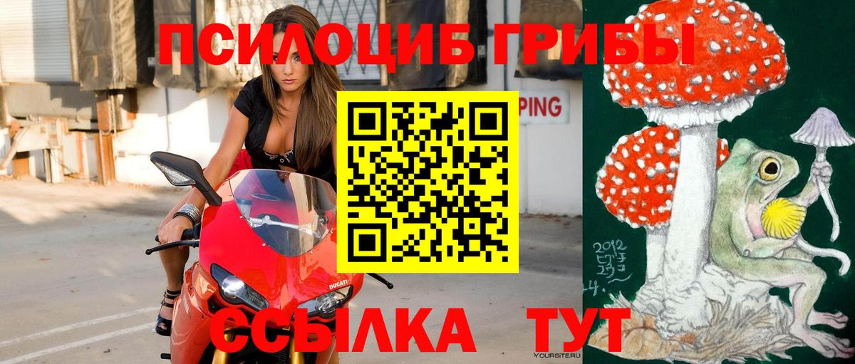 Псилоцибиновые грибы Psilocybine cubensis Кириши