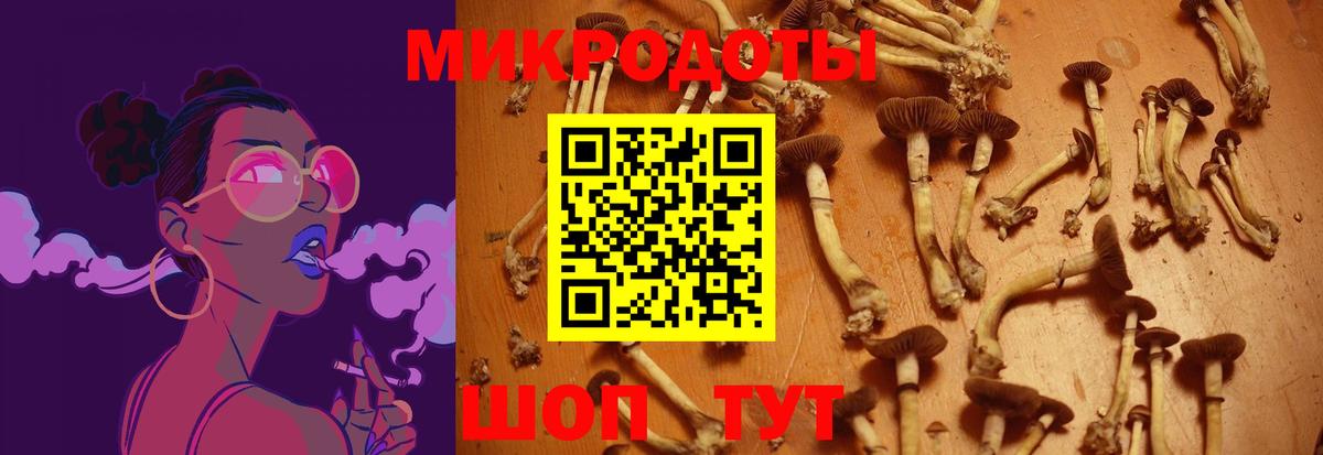 Кириши  Псилоцибиновые грибы мухоморы  Вход с VPN 